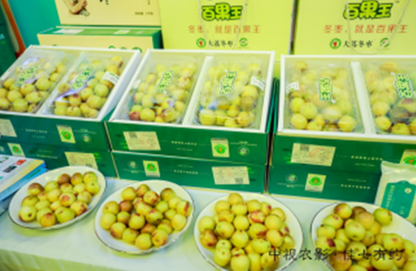 2019年“美丽大荔·枣想约你，一带一路·果香之旅”农特产品（北京）全球推介会 成功举办