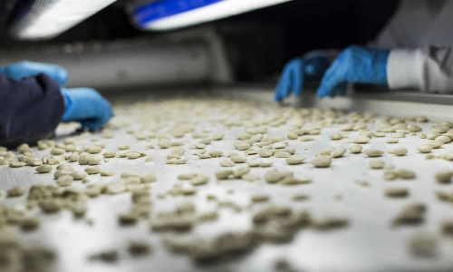 欧洲坚果巨头Itac正式进驻中国市场