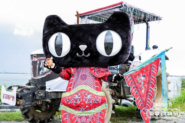 阳澄湖大闸蟹第一捞今日开捞，买正宗阳澄湖大闸蟹上天猫