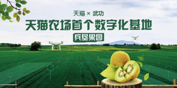 天猫农场牵手陕西武功县，科技兴农助力猕猴桃产业升级