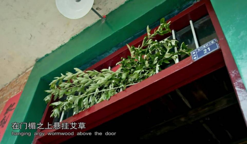 给爸妈安利的暖心神作！《本草中国2》究竟有什么魔力成为两代人的沟通桥梁