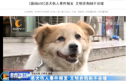 拒绝“任性”遛狗，纽顿呼吁社会公众文明养犬