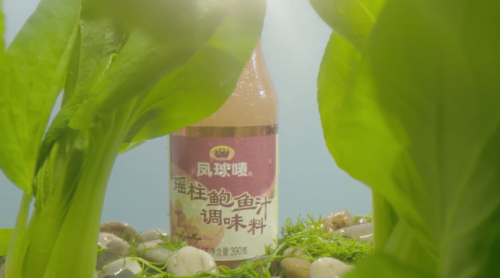 肩负使命！民族品牌凤球唛温情献礼