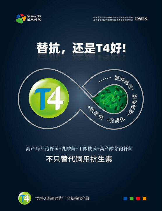 T4，引领中国饲料行业走向营养免疫新时代