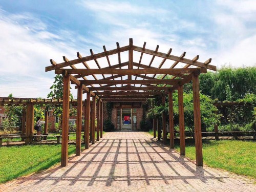 一席演讲｜日日年学堂：茂盛地成长