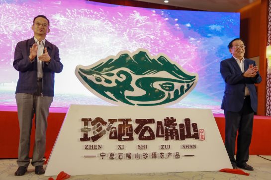 打造公用品牌 助推产业兴旺 ——石嘴山市首届富硒产业发展大会盛大开幕