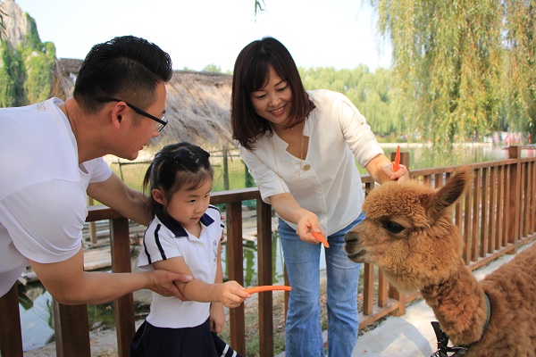 高端“宿营”亮相北京野生动物园