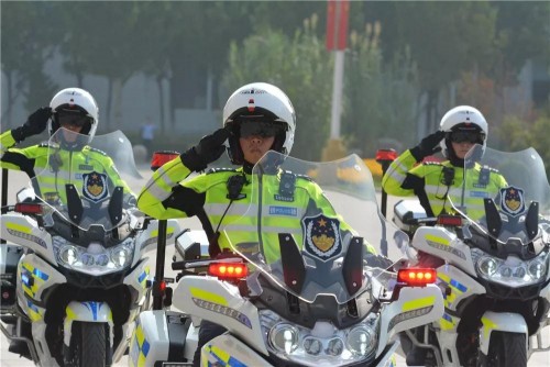 市公安局举行授旗仪式 天津公安铁骑护卫机动队“上岗”