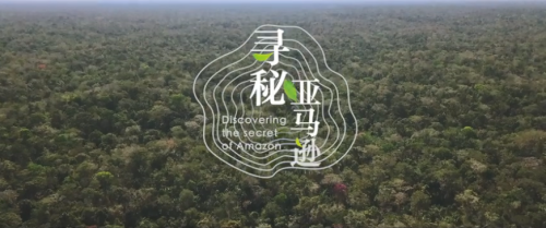 《寻秘亚马逊》：大自然家居这部纪录片带你讲诉寻木之旅