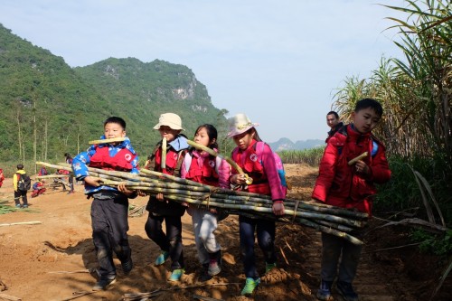 一席演讲｜日日年学堂：茂盛地成长
