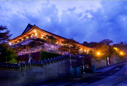 以酒为媒，梦之蓝“世界知识论坛”再展中国绵柔文化