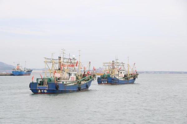 “渔”见海，“港”上鲜，渤海开捕文化节圆满落幕