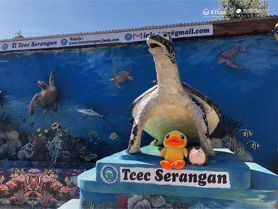 “B.Duck小黄鸭×刺猬体验” 巴厘岛海龟保护国际义工行动完美落幕