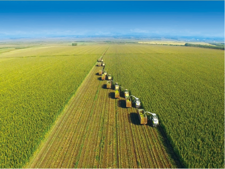 飞鹤乳业上榜亚洲品牌500强，荣膺亚洲至尊品牌金奖