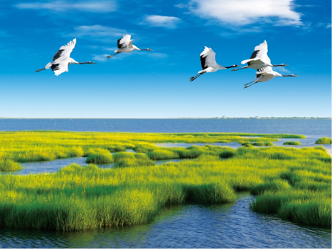 飞鹤乳业上榜亚洲品牌500强，荣膺亚洲至尊品牌金奖