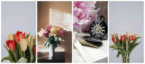 久盛地板素颜2.0 | 原木系·黑核桃 发现自我，活出不同