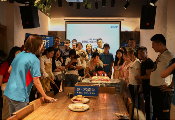 麦德氏进入中国宠物市场十年，感恩饲主长久相伴