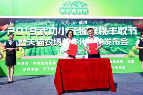 天猫农场牵手陕西武功县，科技兴农助力猕猴桃产业升级