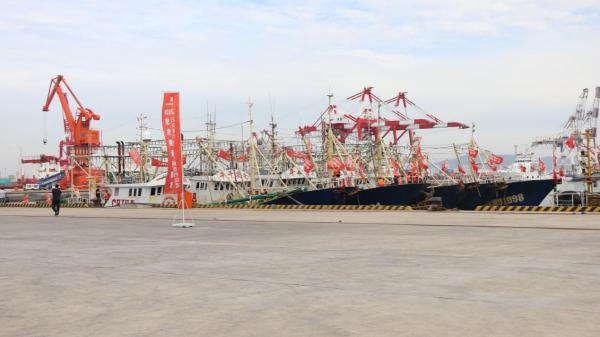 “渔”见海，“港”上鲜，渤海开捕文化节圆满落幕