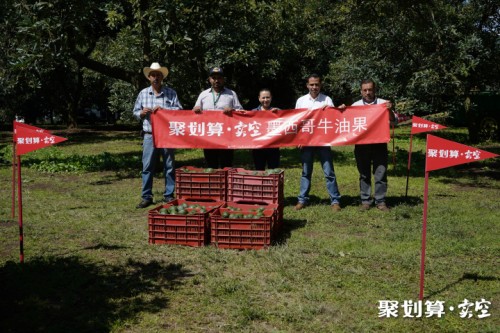 聚划算卖空·国家名片计划，下沉市场又一利剑