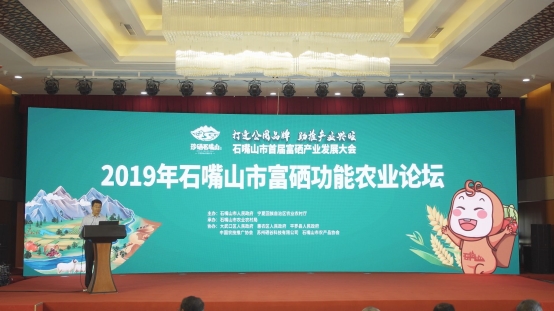 打造公用品牌 助推产业兴旺 ——石嘴山市首届富硒产业发展大会盛大开幕