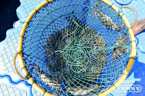 阳澄湖大闸蟹第一捞今日开捞，买正宗阳澄湖大闸蟹上天猫