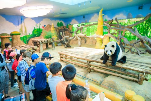 “中法环境月”首落户中国长隆 中法专家带领全球亲子家庭探秘动物国宝