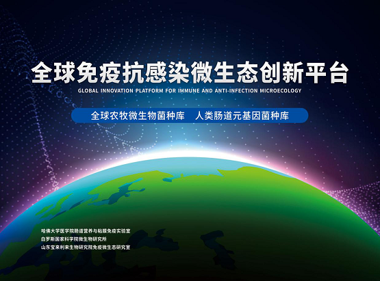 T4，引领中国饲料行业走向营养免疫新时代