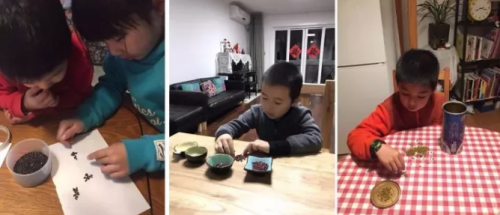 一席演讲｜日日年学堂：茂盛地成长