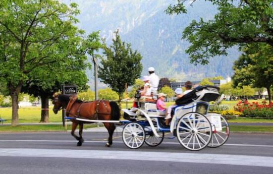 冬日暖游欢乐无限天堂之旅新马泰首推“万佛之国”