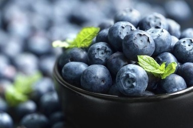 关注老年健康，小小BC蓝莓促保健