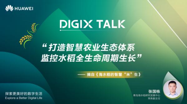 荒漠变良田 听DIGIX TALK张国栋讲盐碱地上的海水稻