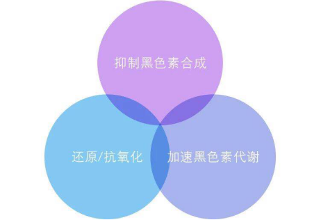 用了这款薇美芙虾青素精华，再也不做黄脸婆