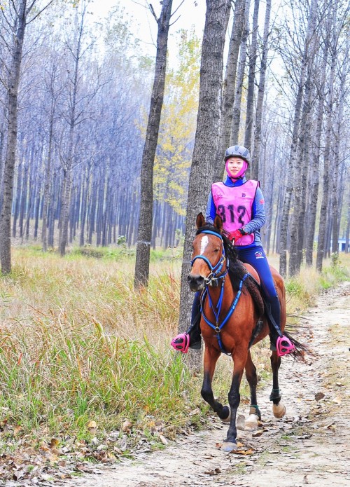 国际三星级马术耐力赛在中国砀山举行中国内地首位三星级女骑手诞生