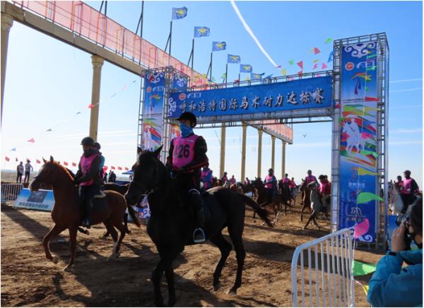 2019中国·呼和浩特国际马术耐力达标赛开赛 近百对人马组合同场竞技