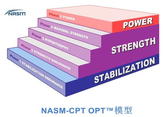 NASM OPT模型：8大优势赋能健身行业未来