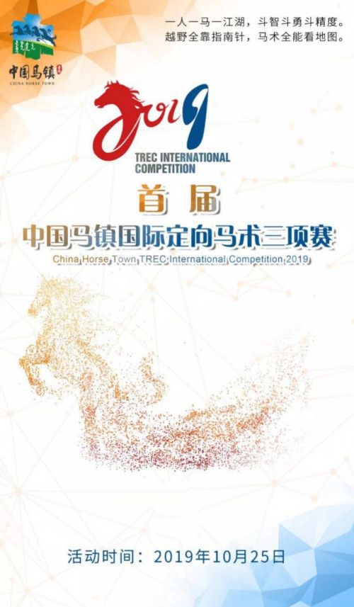 弘扬马文化 中国马镇将举办首届国际马术文化节