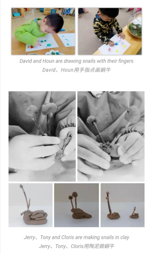 遇见瑞吉欧，孩子让平凡变精彩