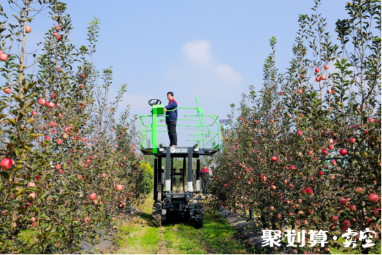 聚划算携手杨凌农科3天卖空1000吨“陕西红”系列苹果，开启陕西省千亿产业计划