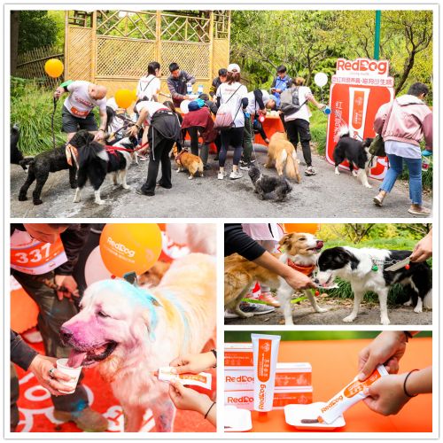 红狗杯2019DOGRUN上海开跑，打响人宠彩跑第三站