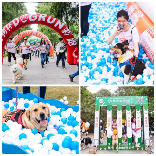 红狗杯2019DOGRUN上海开跑，打响人宠彩跑第三站