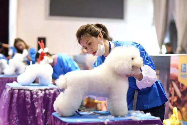 纽顿犬猫粮冠名第49届WGA宠物美容师资格认证大赛