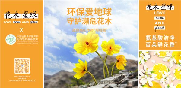 花木星球公益大事|中国区首个公益项目，濒危花木守护计划开启