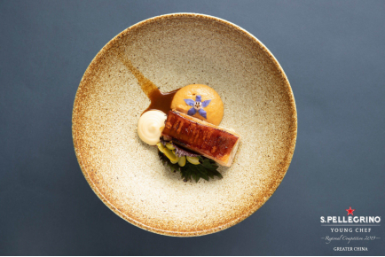 汪志诚荣膺2019圣培露世界青年厨师大赛大中华区决赛冠军