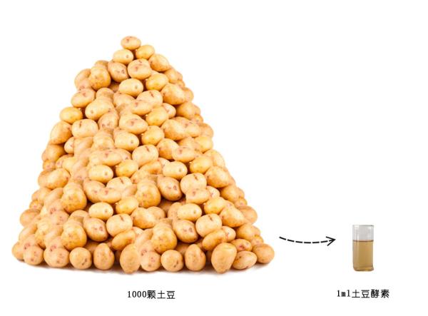 薯于pototaly土豆酵素医用面膜--敏感肌的福音