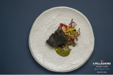 汪志诚荣膺2019圣培露世界青年厨师大赛大中华区决赛冠军