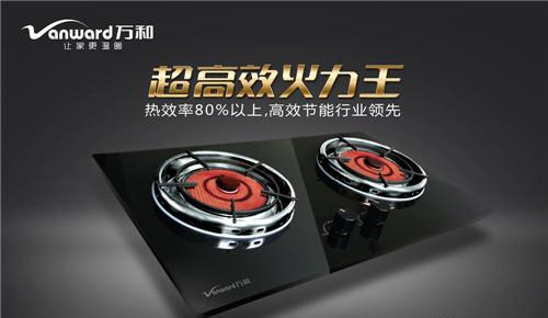 双十一感恩回馈，万和诚意推出“买一送二”彰显品牌实力