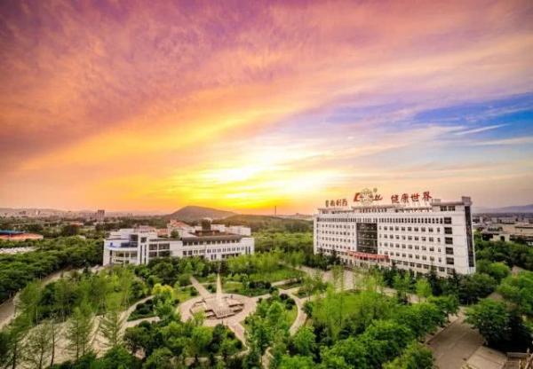 鲁南制药荣登“2019年中国创新力医药企业20强”！