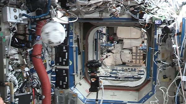 阿迪达斯宣布与国际空间站美国国家实验室建立合作伙伴关系