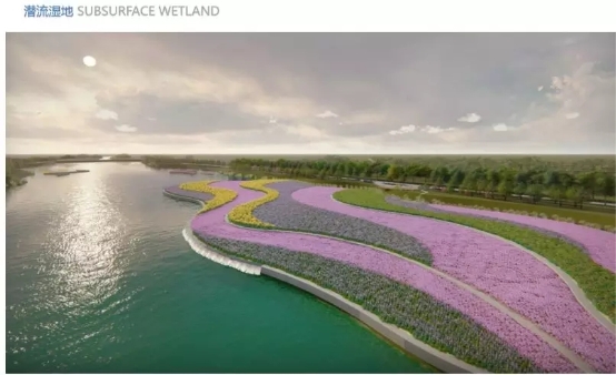 新加坡经验，潜流湿地助力雄安新区碧水建设